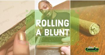 How to roll a blunt tutorial.