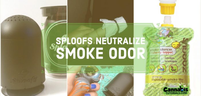 How to Make a Sploof & The 3 Best Sploof