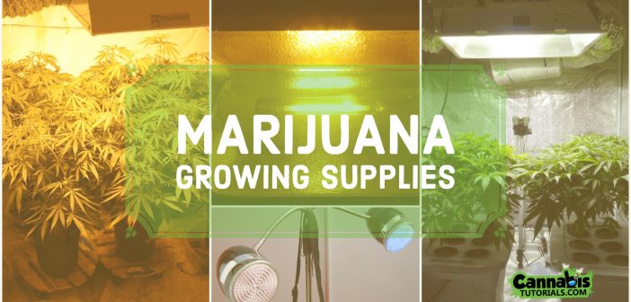 Popular marijuana growing supplies