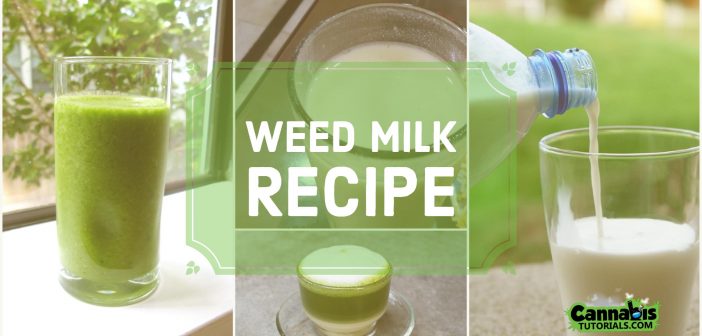 Weed milk recipe tutorial.