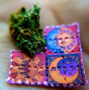 LSD and Weed
