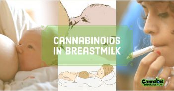 Using cannabis while breastfeeding