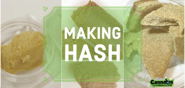 How to make hash cannabis tutorial.