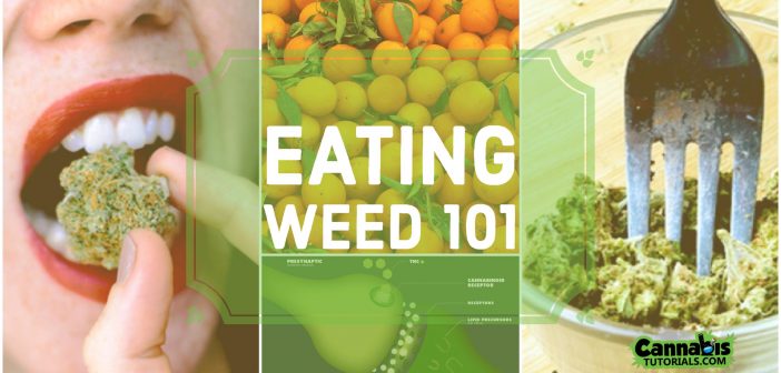 What happens to you when you eat weed