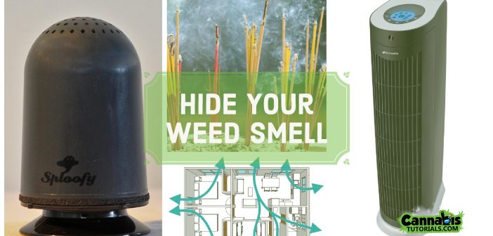 How to hide your weed smell cannabis tutorial