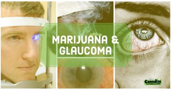 Understanding marijuana and glaucoma