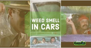how to get weed smell out of your car