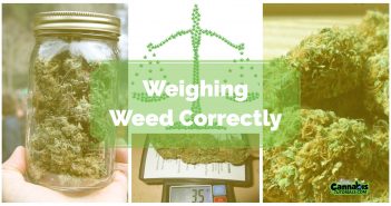 How to properly weigh weed