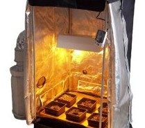 Marijuana hydroponic grow room tutorial