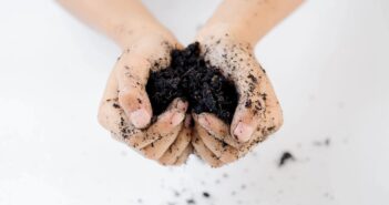 best soil for cannabis