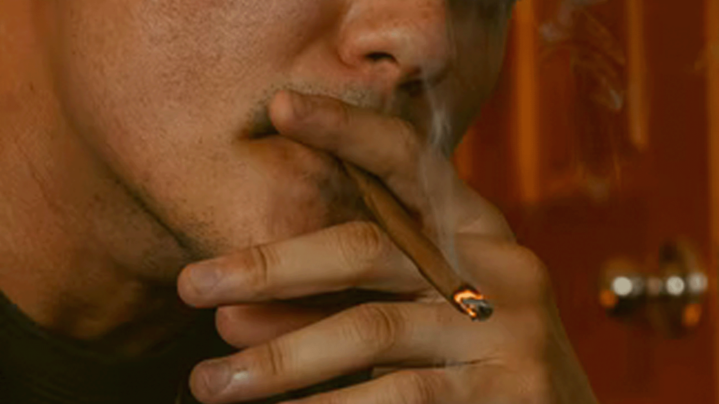how to roll a blunt