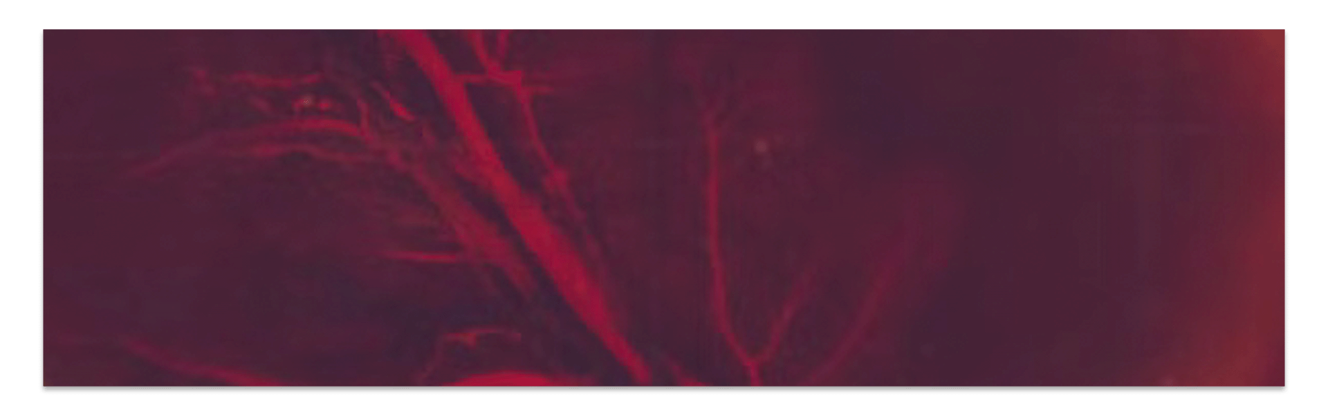 cannabis before you workout recovery