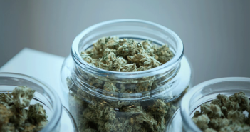 how long does weed stay good for