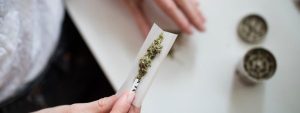 rolling a join before a urine drug test