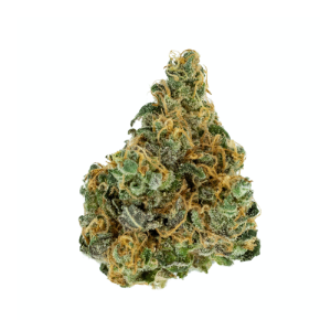 weed-strains-Blue Nightmare