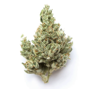 weed-strains-Mystery OG