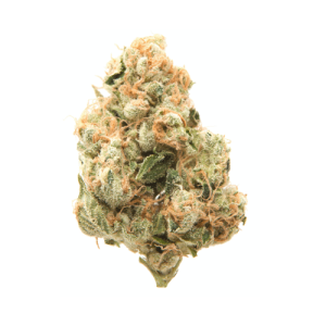 weed-strains-Platinum Diesel