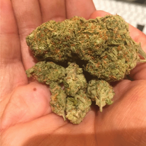 weed-strains-Tropical Kush
