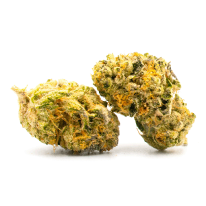 Blueberry Crumble weed strain