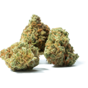 Gorilla Mints weed strain