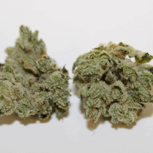 Lady Gorilla Glue weed strain