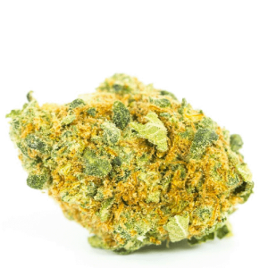 Orange Dream weed strain