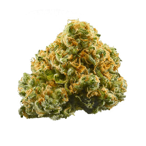 Weed Strains Pineapple Express Cannabis Tutorials