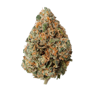 Root Beer weed strain