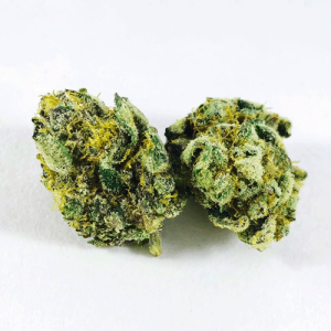 Shrieker weed strain