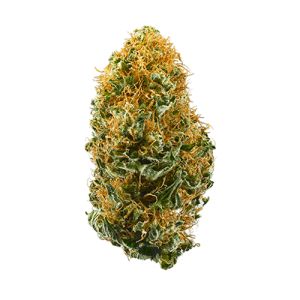 weed strains white widow