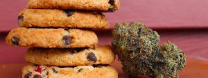How long do edibles take to kick in dose