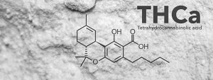 best thc alternatives thca