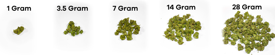 weed measurements