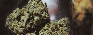 too much weed when smoking a bowl