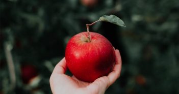 how to smoke out of an apple pipe