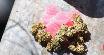 edible gummies spread out next to a quarter of weed